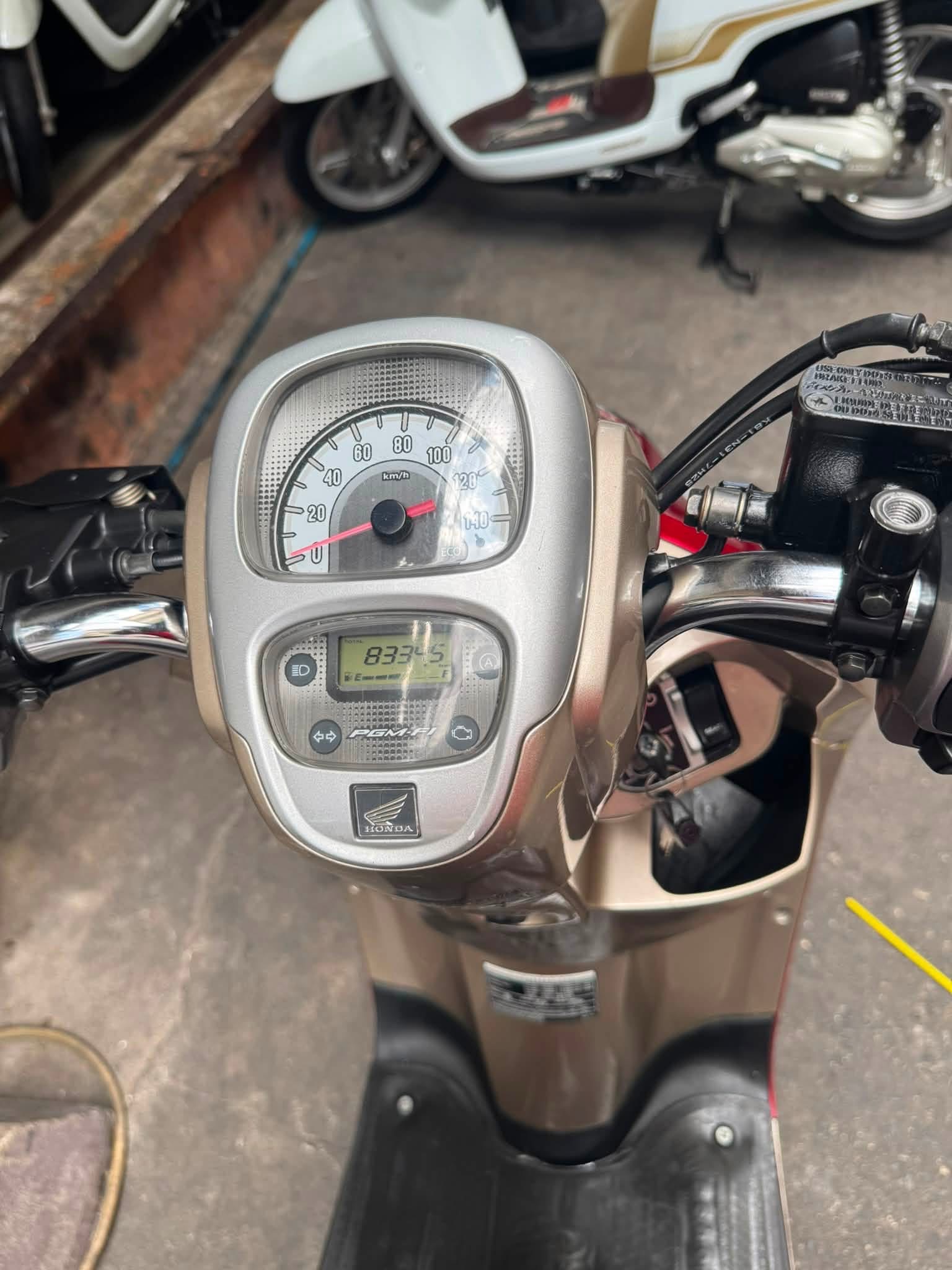 Scoopy 2018 